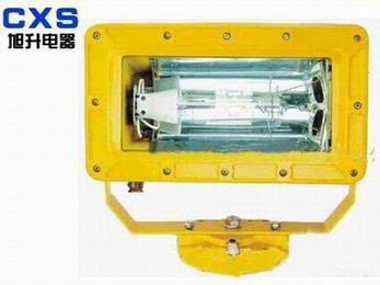 供应CBFC8100外场防爆强光泛光灯02